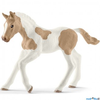 Ostatní hračky - Schleich - Kůň, American Paint Horse hříbě