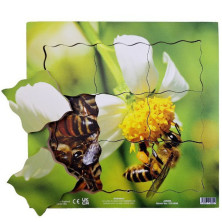 Puzzle výukové - Životní cyklus včela, 19ks (Just Jiqsaws)